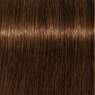 Schwarzkopf Igora Royal Absolutes Tinte 60ml