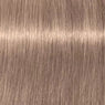 Schwarzkopf Igora Royal Absolutes Tinte 60ml