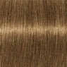 Schwarzkopf Igora Royal Absolutes Tinte 60ml