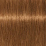 Schwarzkopf Igora Royal Absolutes Tinte 60ml