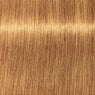 Schwarzkopf Igora Royal Absolutes Tinte 60ml