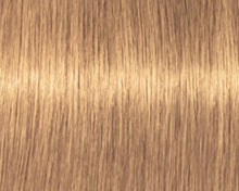 Cargar imagen en el visor de la galería, Schwarzkopf Igora Royal Beige y Dorados Tinte 60ml
