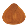 Alfaparf Milano Evolution of the Color Tinte 60ml