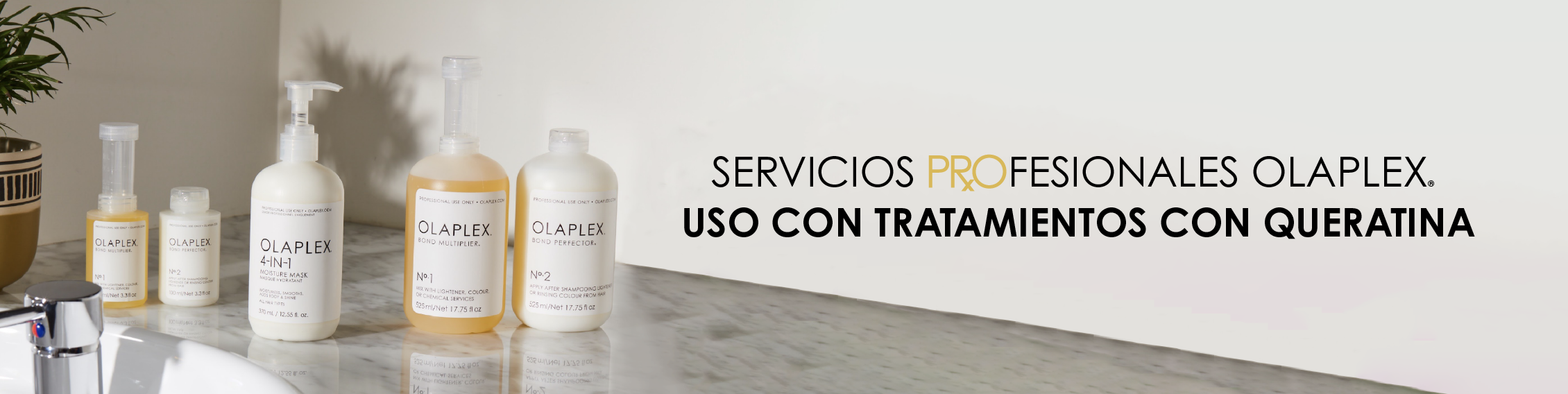 Círculo de Belleza
