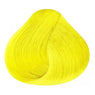 Tinte Funny Color 90ml