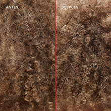 Cargar imagen en el visor de la galería, Salon Intro Kit
