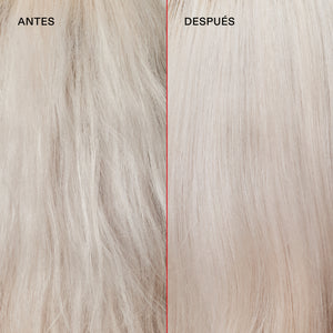 Salon Intro Kit