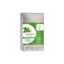 Cargar imagen en el visor de la galería, TRATAMIENTO BR DETOX GINGER &amp; GREEN TEA 4PK- KIT 4 PASOS 51319
