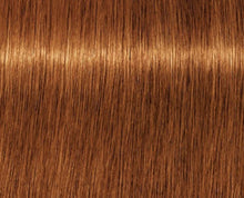 Cargar imagen en el visor de la galería, Schwarzkopf Igora Royal Chocolates Tinte 60ml
