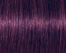 Cargar imagen en el visor de la galería, Schwarzkopf Igora Royal Beige y Dorados Tinte 60ml Coloración Permanente de Alta Definición para Reflejos Multidimensionales
