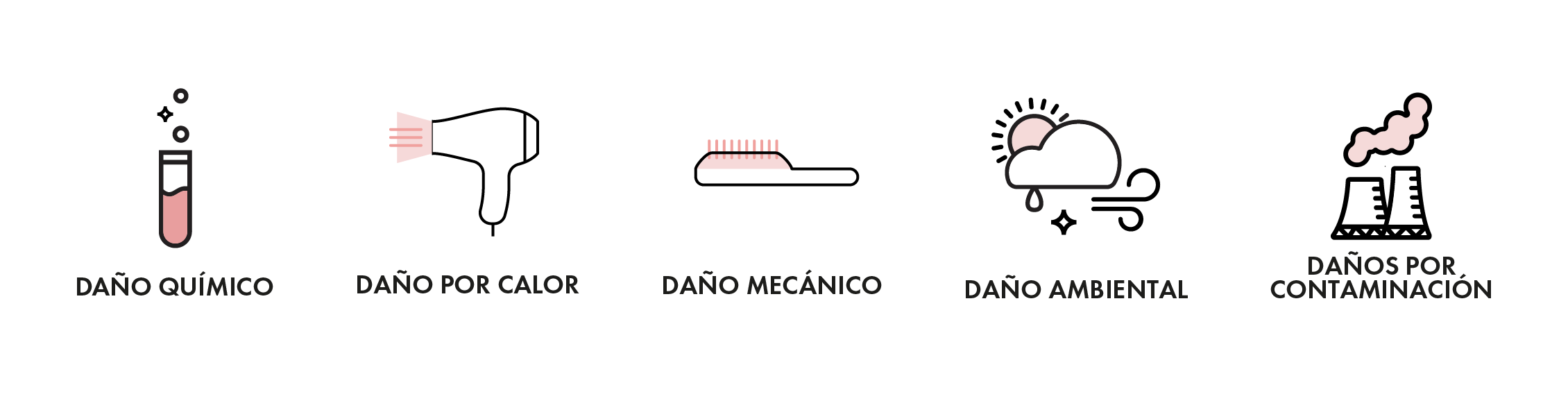 Círculo de Belleza