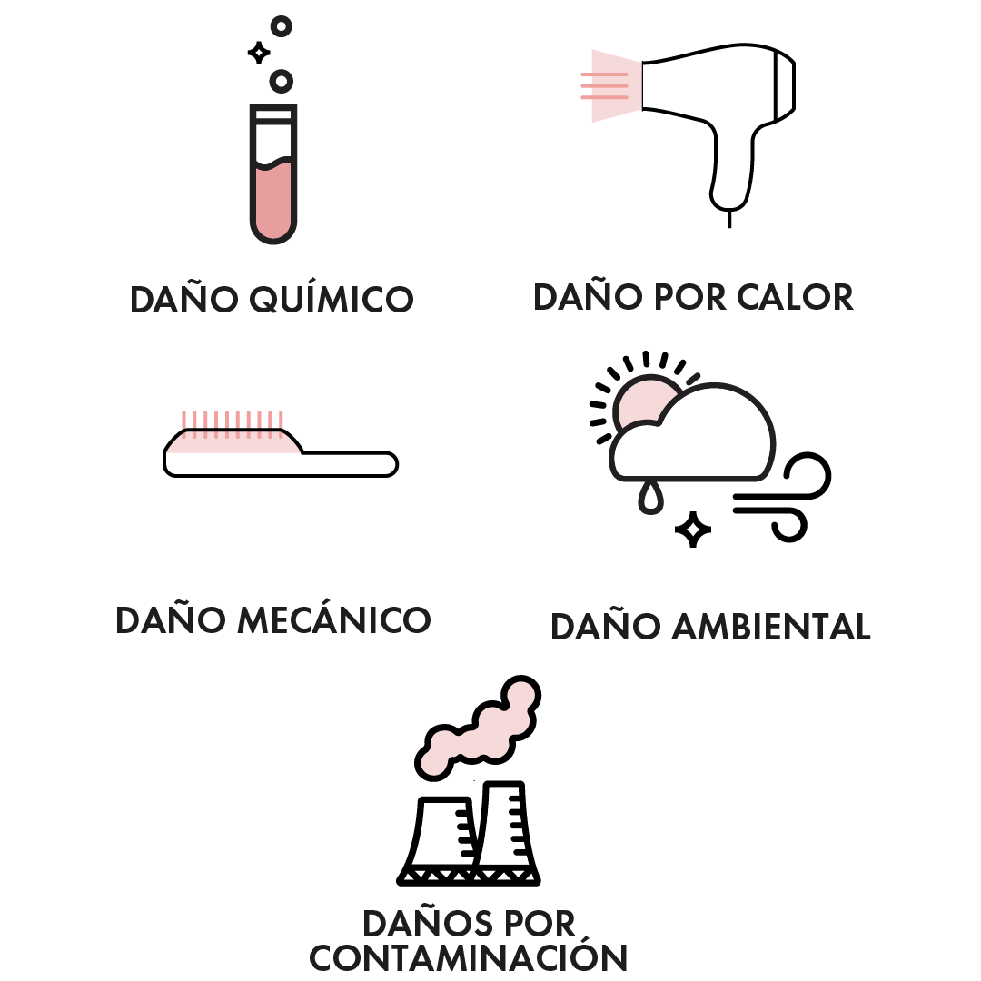 Círculo de Belleza