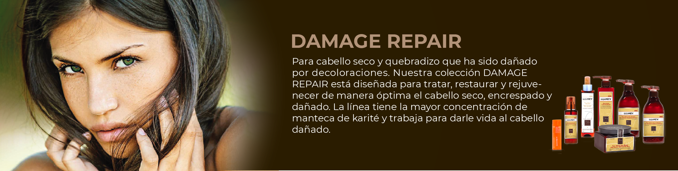 Círculo de Belleza