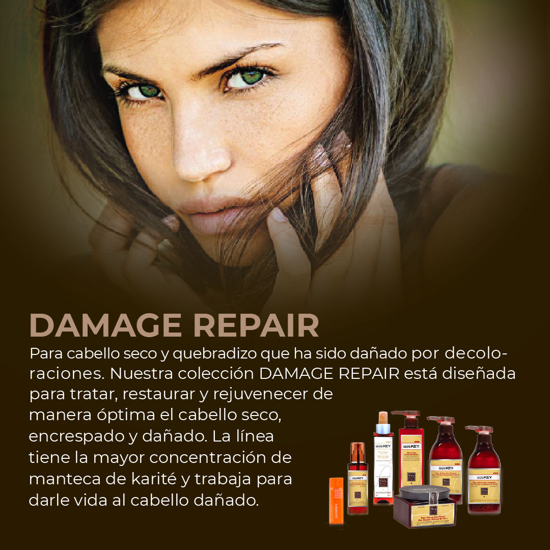 Círculo de Belleza
