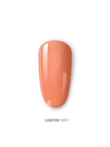 Devotion 15G: 25 Tonos