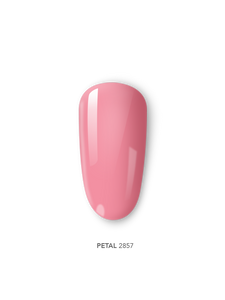 Devotion 15G: 25 Tonos