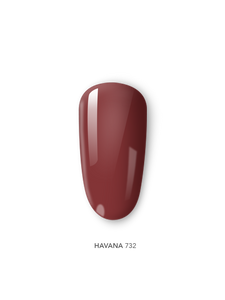 Devotion 15G: 25 Tonos