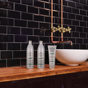 Shampoo Reconstruction and Strength 500ml