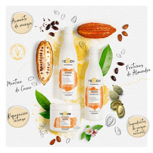 Mascarilla Repair 500ml
